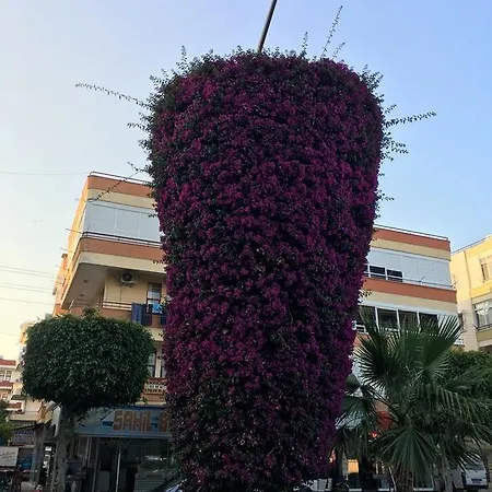 Apartment In Alanya